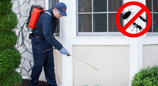 Doğanhisar Kene İlaçlama böcek ilaçlama ve haşere kontrolü — ilaclama-tr.com
